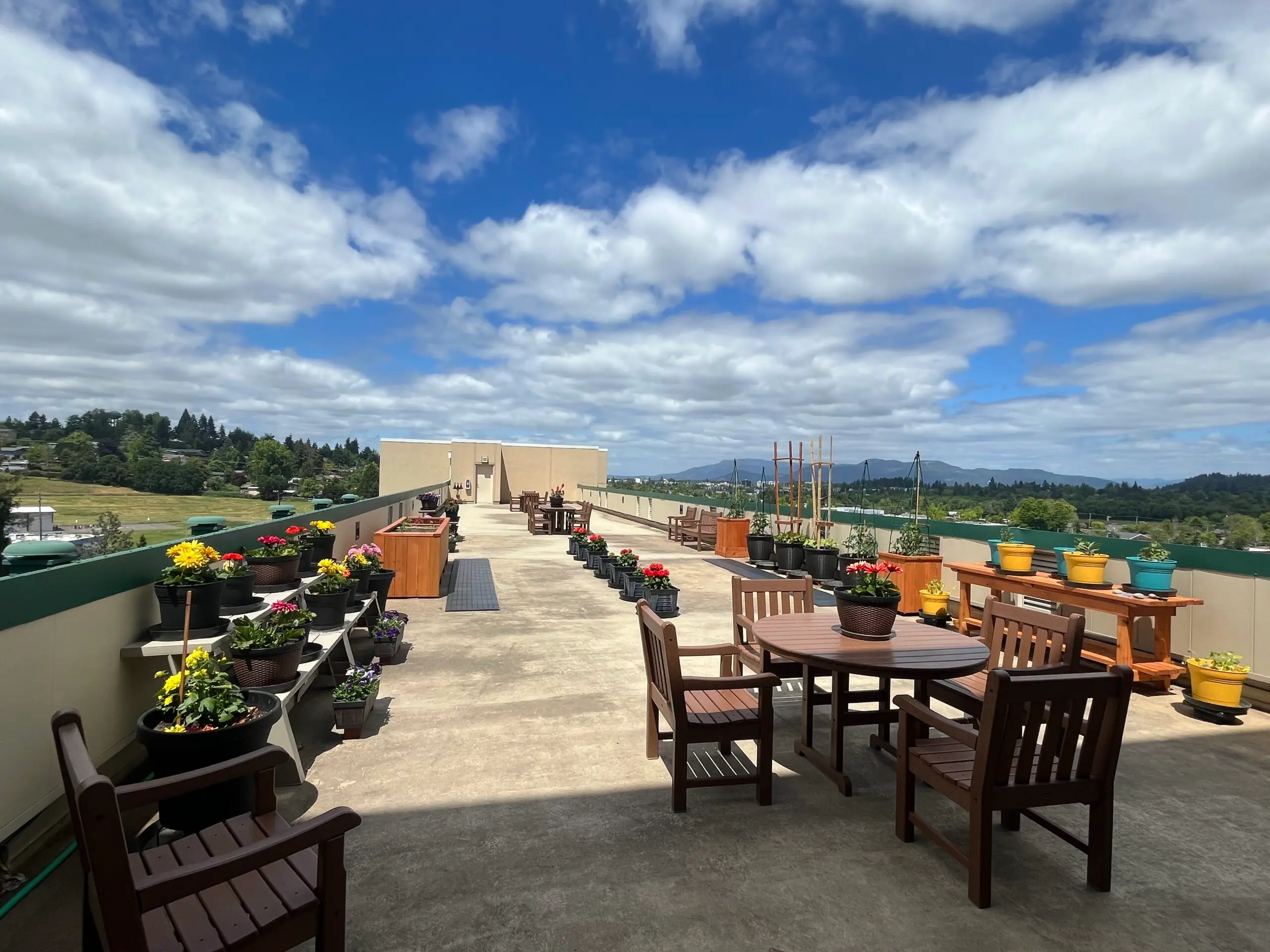 A rooftop garden with a table and chairs and potted plants