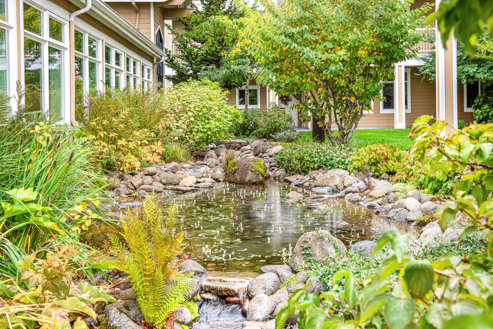 A fountain pond surrounded by rocks in the Willamette courtyard